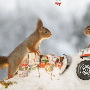 red squirrel standing on a snowplough with gifts