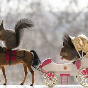 Red Squirrels with a horse and carriage