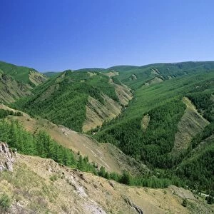 Russia - Sengilen mountain range slopes, taiga-forest and river Sarant in Sarant mountains gorge; June; South Tuva Tu32. 3122
