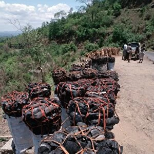 Sacks of charcoal & fuelwood for sale, Malawi charcoal production is causing severe deforestation in the Shire River region Southern Malawi, Africa
