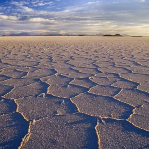 Salar de Uyuni - polygonal salt pattern on dried up salt lake at sunset - Salar de Uyuni - Altiplano - Bolivia - South America Salar de Uyuni - polygonal salt pattern on dried up salt lake at sunset - Salar de Uyuni - Altiplano - Bolivia - South America