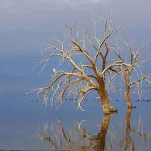 Salton Sea Southern California, USA Salton Sea Southern California, USA