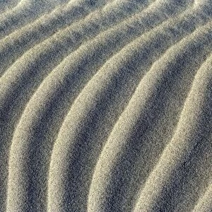 Sand Dune close-up of sand ripples of white sand dunes at Whaririki Beach Golden Bay, Nelson District, South Island, New Zealand