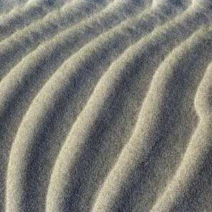 Sand Dune close-up of sand ripples of white sand dunes at Whaririki Beach Golden Bay, Nelson District, South Island, New Zealand Sand Dune close-up of sand ripples of white sand dunes at Whaririki Beach Golden Bay, Nelson District, South Island, New Zealand