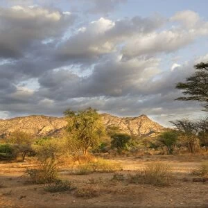 Savanna biome - National Park of Mago - South Ethiopia