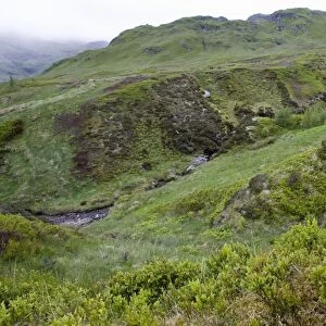 Scotland - Ben Lawers Nature Reserve, showing rich flora within enclosure and heavily grazed areas outside