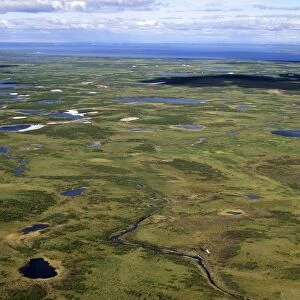 Semi-tundra, aerial view from a helicopter. A typical landscape near large lake Pyasina, Taimyr peninsula, North of Siberia, Russian Arctic, summer. Di33. 1904
