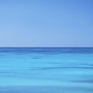 Seychelles Assumption Island Seychelles Assumption Island