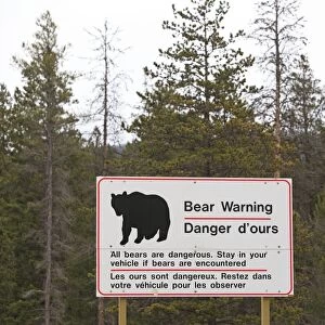 Sign - warning to stay in your car if Bears are encountered. Rocky mountains - Jasper national park - Alberta - Canada
