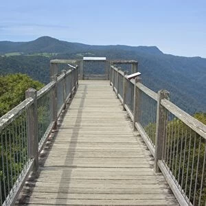 Skywalk over rainforest - this boardwalk is built on top of the mountain range near the Dorrigo Rainforest Centre and provides an amazing view over the rainforest canopy - Dorrigo National Park