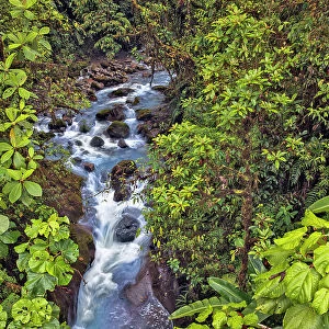 Small stream or creek, Costa Rica Date: 19-03-2011