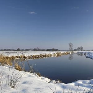 snowy polder landscape with brook