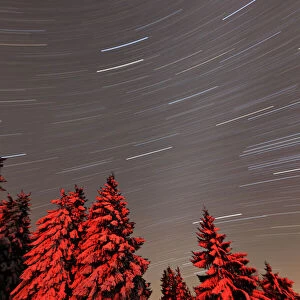 Star trails - in winter sky - Hoher Meissner National park - North Hessen - Germany