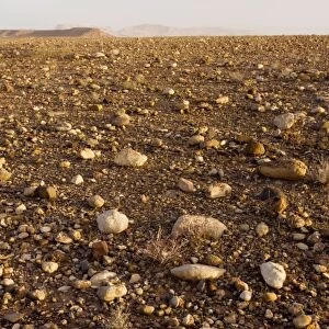 Stony desert or Hamada west of Ouazarzade on the edge of the Sahara, south Morocco