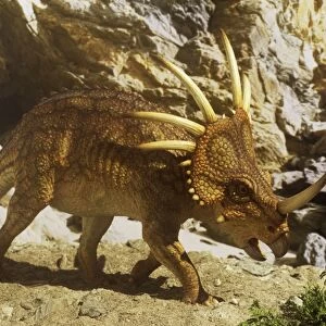 Styracosaurus near cave. Late Cretaceous