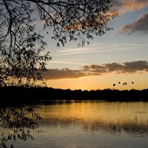 Sunset - Groby Pool, Leicestershire UK