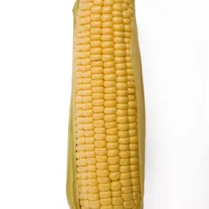 Sweetcorn - corn on the cob Sweetcorn - corn on the cob