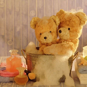 Teddy Bear - x2 teddies at bathtime