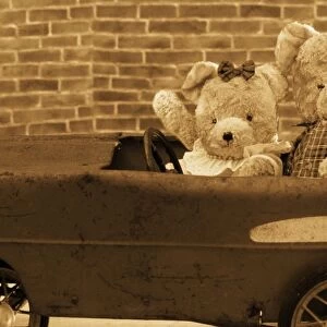 Teddy Bear - x2 teddies in car Digital Manipulation: extra arm, sepia