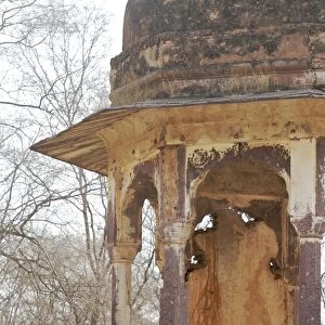 Tigress - large cub lying on chhatri base (elevated, dome-shaped pavilion) - Ranthambhore National park