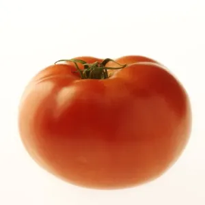 Tomato Tomato