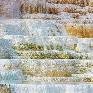 Travertine terraces at Minerva Spring, Mammoth Hot Springs, Yellowstone National Park, Wyoming, USA. Date: 25-05-2021