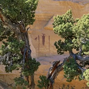 USA - archaeology Sinbad pictographs / petroglyphs, Barrier Canyon style. Capitol Reef National Park, SanRafael area