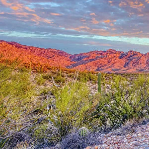 USA, Arizona, Catalina. Panoramic of sunset on desert and Catalina Mountains. Date: 18-03-2021