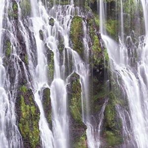 USA, California, McArthur-Burney Falls State Park. Burney Creek waterfall and ferns. Date: 07-04-2021