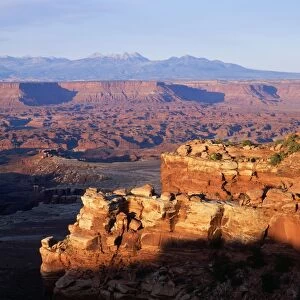 USA - La Sal Mountains in the background Canyonlands National Park, Utah, USA
