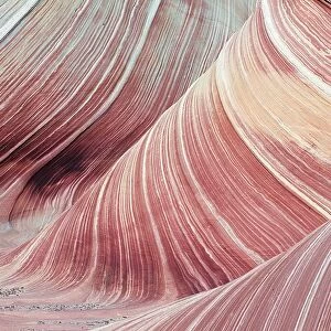 USA, UTAH - Colorado plateau - cross-bedded Navajo sandstone