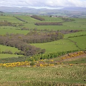 View from Corby Crag of Cheviot Hills, Rothbury, Northumberland NP, England