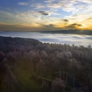View form Hathersage over looking frost covered Silver Birch trees with mist in the valley towards Grindleford - Hathersage - Peak District - Derbyshire - England View form Hathersage over looking frost covered Silver Birch trees with mist in the valley towards Grindleford - Hathersage - Peak District - Derbyshire - England