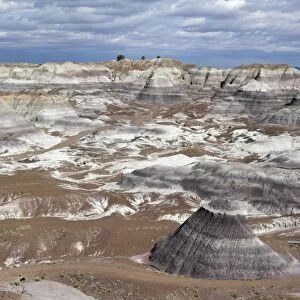View over Painted Desert showing rock strata, the white layers being sandstone. Arizona, USA
