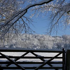 View of snowy hillside over 5 bar gate framed by branches and with blue sky Cotswolds UK
