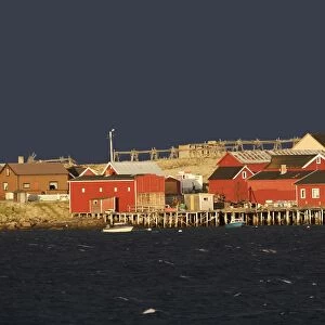 Village d'Ekkoroy by Varanger fjord - Norway