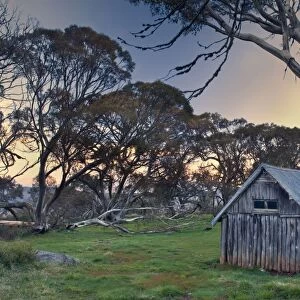 Wallaces Hut - famous and ancient alpine Hut on Victoria's High Country, surrounded by ancient snow gums. At sunset. This is one of South Victoria's most famous landmarks - Bogong Highplains, Alpine National Park, Victoria, Australia