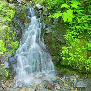 Washington State, Central Cascades, Waterfall, on trail to Annette Lake Date: 15-07-2020