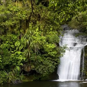 Waterfall water flowing over rocks into a basin in lush temperate rainforest with ferns and lichen Te Urewera National Park, Hawke's Bay, North Island, New Zealand