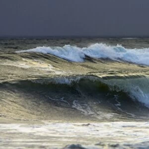 Waves breaking on Rialto Beach Olympic National Park, Washington State, USA LA001520