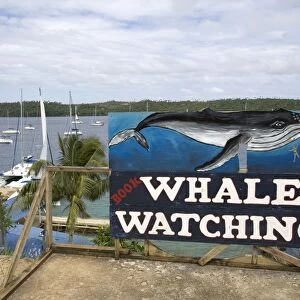 Whale watching advertisement near the harbour at Neiafu Vava'u. Kingdom of Tonga, South Pacific