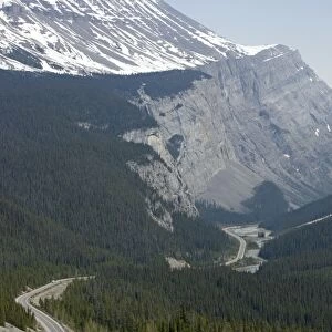 Wilcox Pass - Banff National Park - Alberta, Canada LA004220