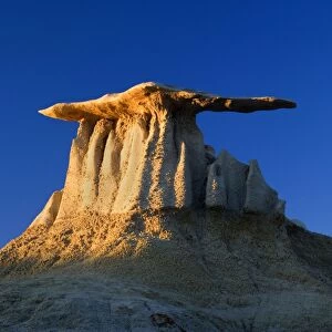 The Wings - eroded clay sculptures with rocks balanced on its tops that make it look like wings - Bisti Badlands Wilderness Area, New Mexico, USA
