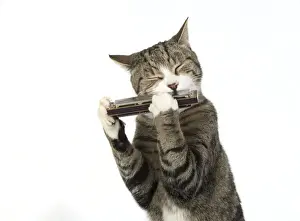Instruments Prints: 13131519