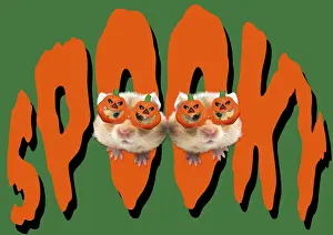 Pumpkin Prints: 13131750