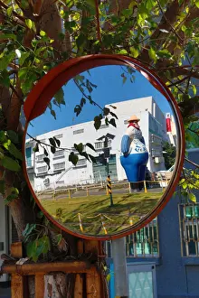 Mirror Prints: 13132473