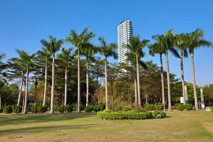 Kaohsiung Prints: 13132486