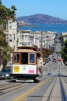 Tram Prints: 13132534