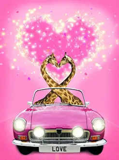 Motor Prints: 13132673