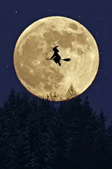 Moon Prints: 13132678